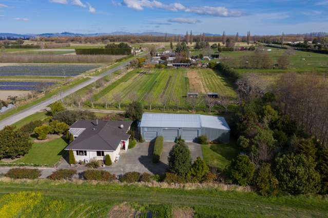 23 Johns Road Jervoistown_4