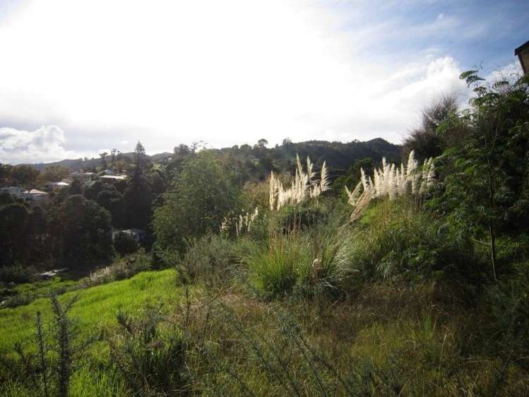 104 Alexander Close Thames_6