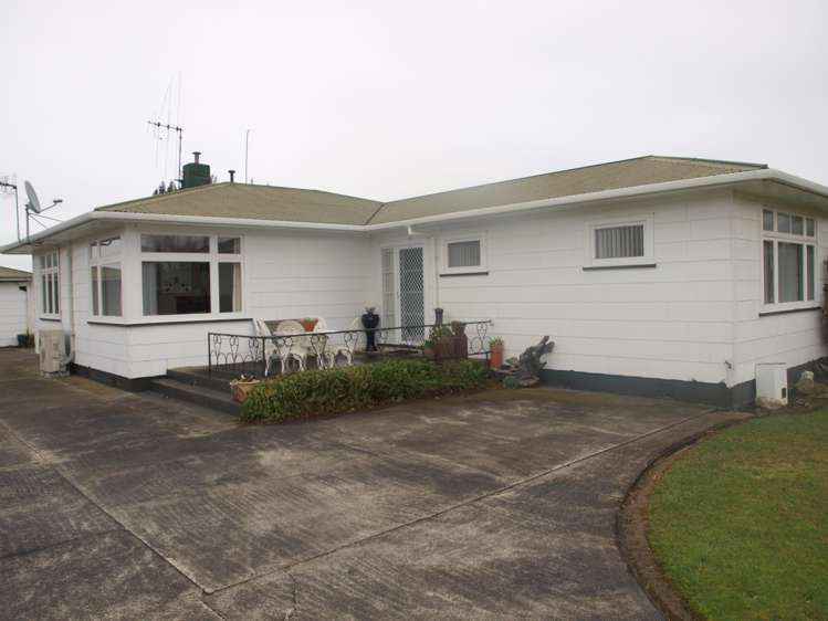 31 Flower Street Bulls_21