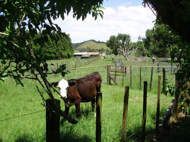 26 Liddell Road Whangamata_3