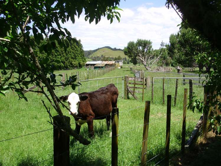 26 Liddell Road Whangamata_3