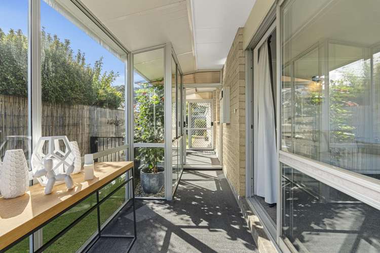 5 Norman Street Lower Vogeltown_11