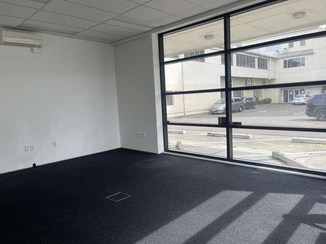 20 Fitzherbert Avenue Palmerston North Central_1