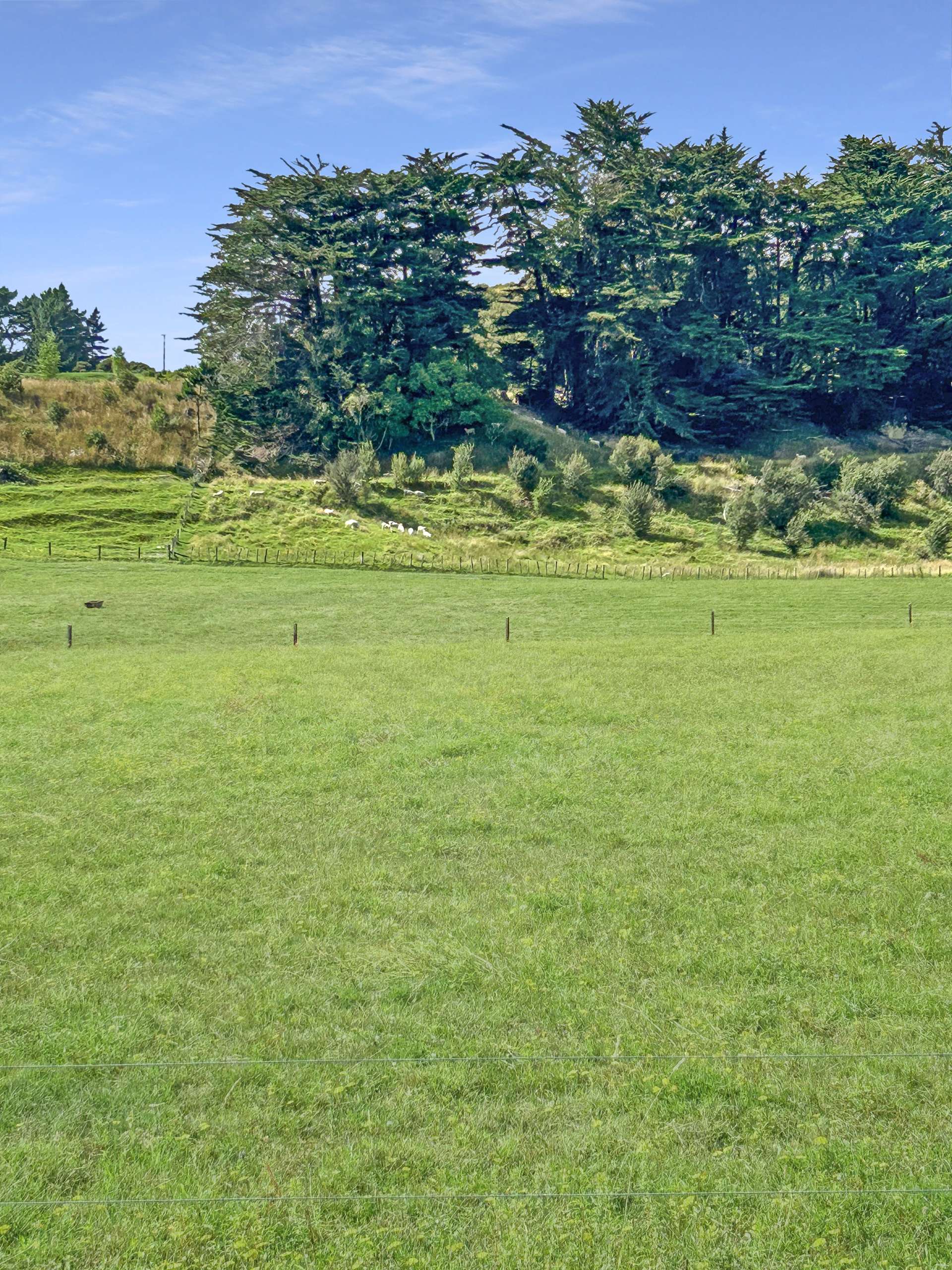 2/808 Pahiatua Pongaroa Road Pahiatua_0