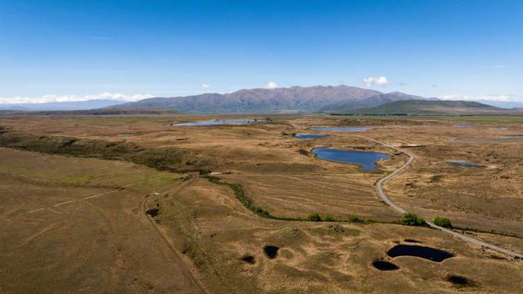 Lagoon Block, Ohau Downs Station Lake Ohau_16