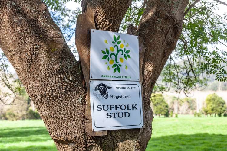 146 Omahu Valley Road Puriri_24