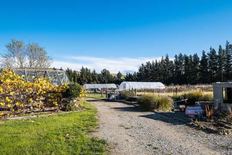 431 Grange Hill Road Palmerston_15