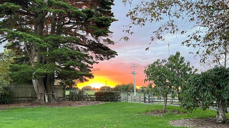 172 Ellett Road Karaka_1