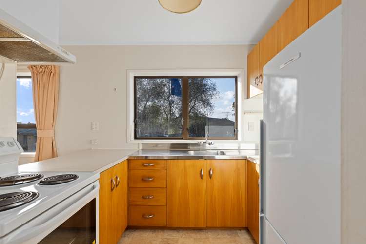 14l Cradock Street Avondale_14