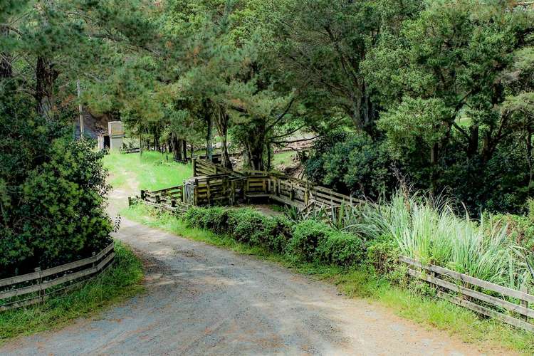 83 Paparoa Station Road Paparoa_22