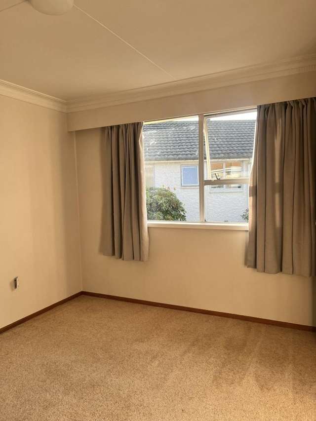 10 Lewis Street Gore_3