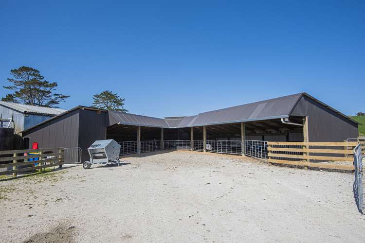 24 Foster Road Dargaville Surrounds_15