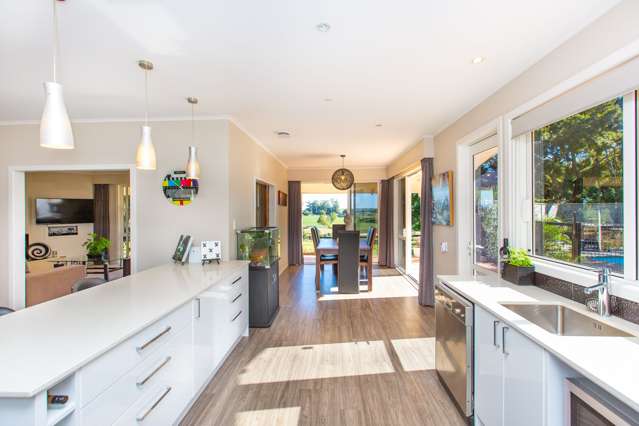 35a Dodd Road Morrinsville_2