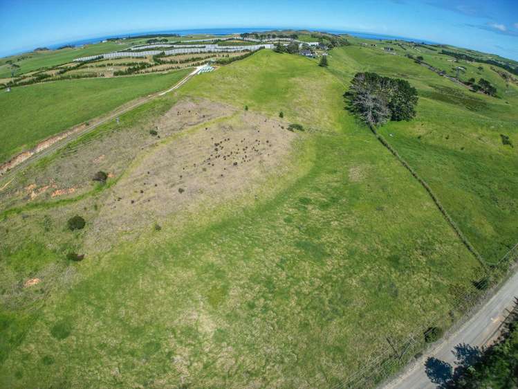 42 Redhill Cemetery Road Te Kopuru_9