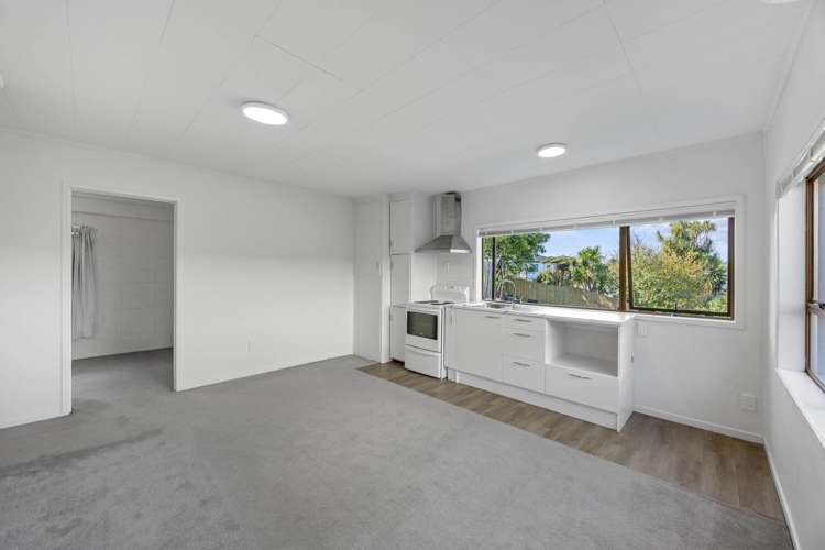 24A Dallas Place New Windsor_2