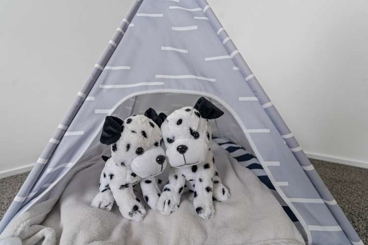 33A Doncaster Drive Papamoa_17