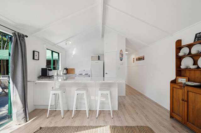 11 Te Aho Road Tongariro River_2