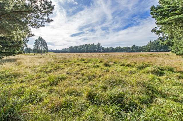 366 Newtons Road West Melton_3