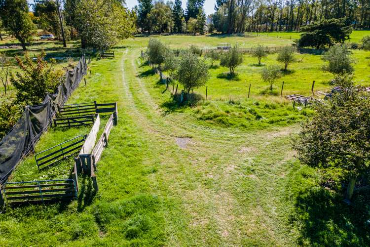 98 Hendersons Road Tinwald_18