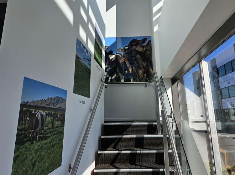 2/295 Blenheim Road Upper Riccarton_8