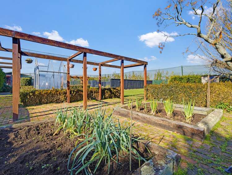 89 McCracken Road Edgecumbe_25