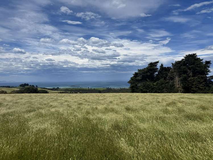 125 Sawmill Road Taieri Beach_25