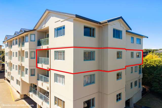 15/3b Harrison Road Mt Wellington_1