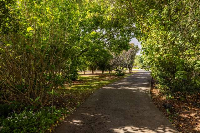 37 Access Road Kerikeri_3