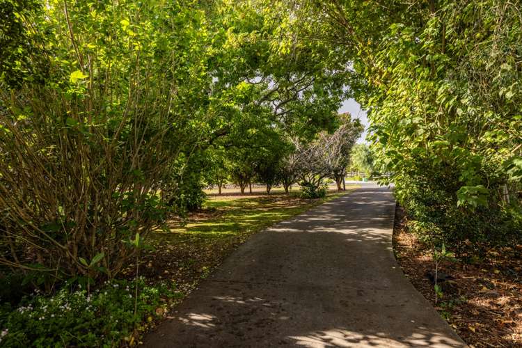 37 Access Road Kerikeri_5