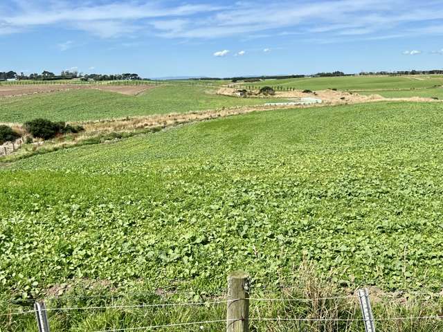 4.8107 ha - Land with Character