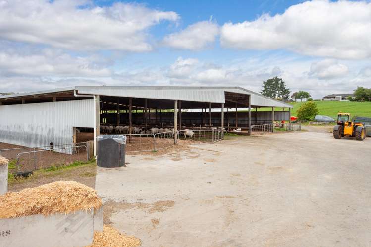 1557 Morrinsville-Walton Road Morrinsville_19