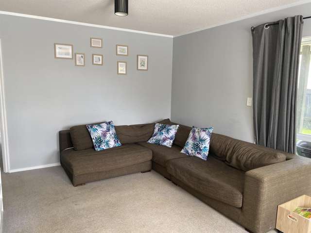 15B Maitland Street Greerton_4