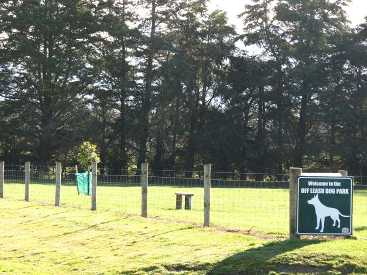 31 Cotterville Crescent_4