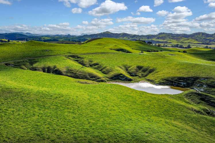 2152 Puketitiri Road Central Hawkes Bay Coastal_27