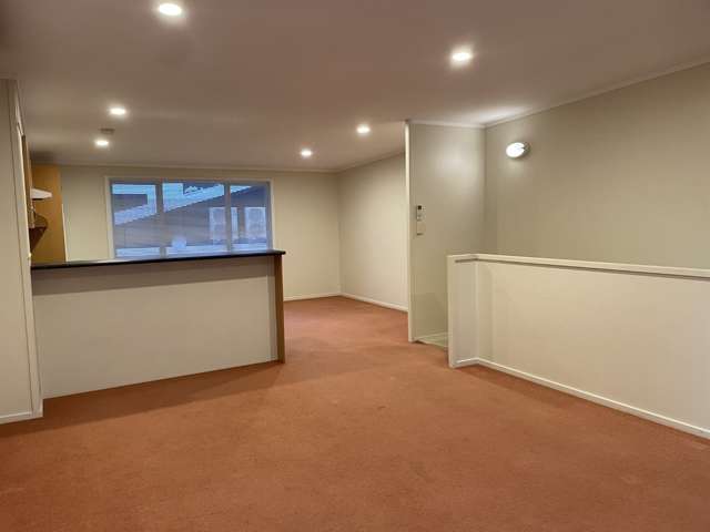 17/3 Kelvin Grove Te Aro_2