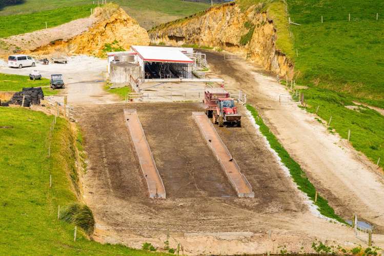 780 Te Maire Road Te Kopuru_8