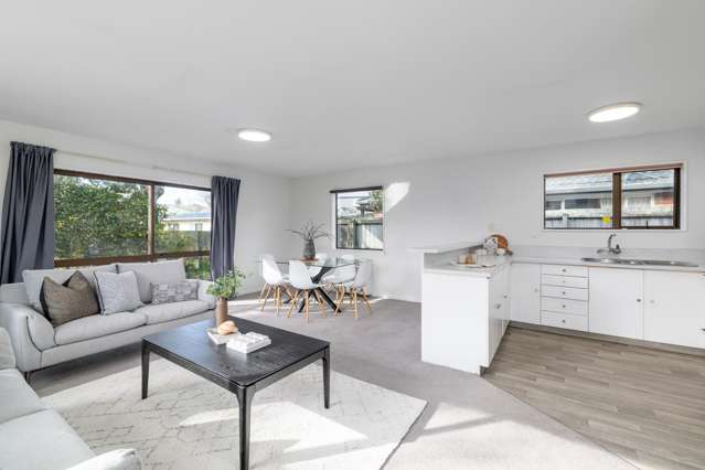 66A Peer Street Ilam_3