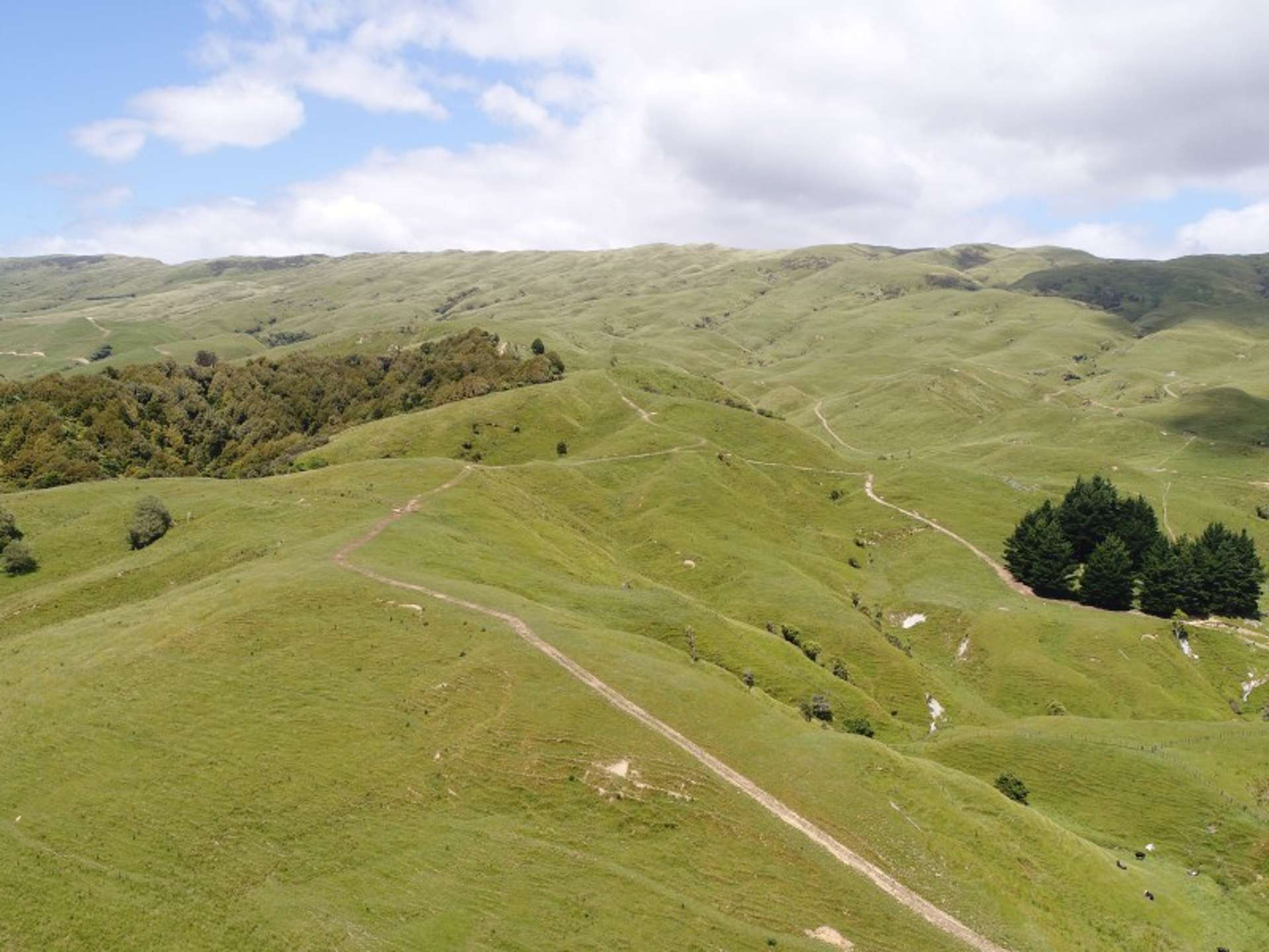 934 Coonoor Road Pahiatua_0