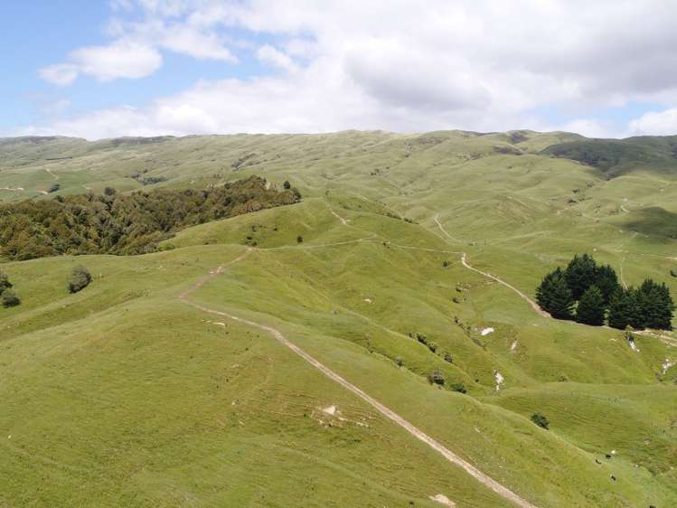 934 Coonoor Road Pahiatua_0