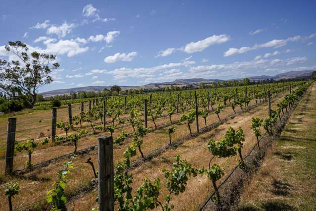 220 Omihi Road Waipara_4