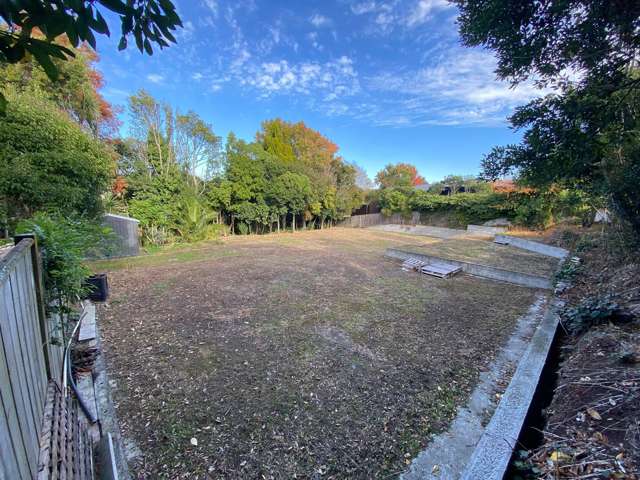 194 Victoria Avenue Hokowhitu_1