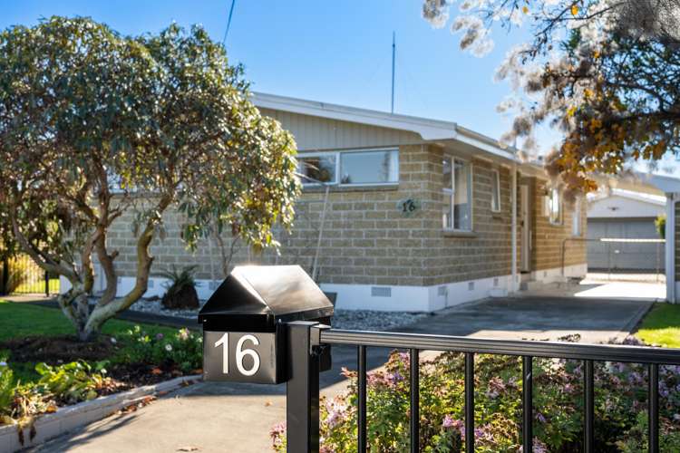 16 Gilbert Street Witherlea_17