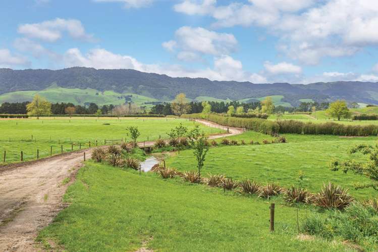 696a Tower Road Matamata_23