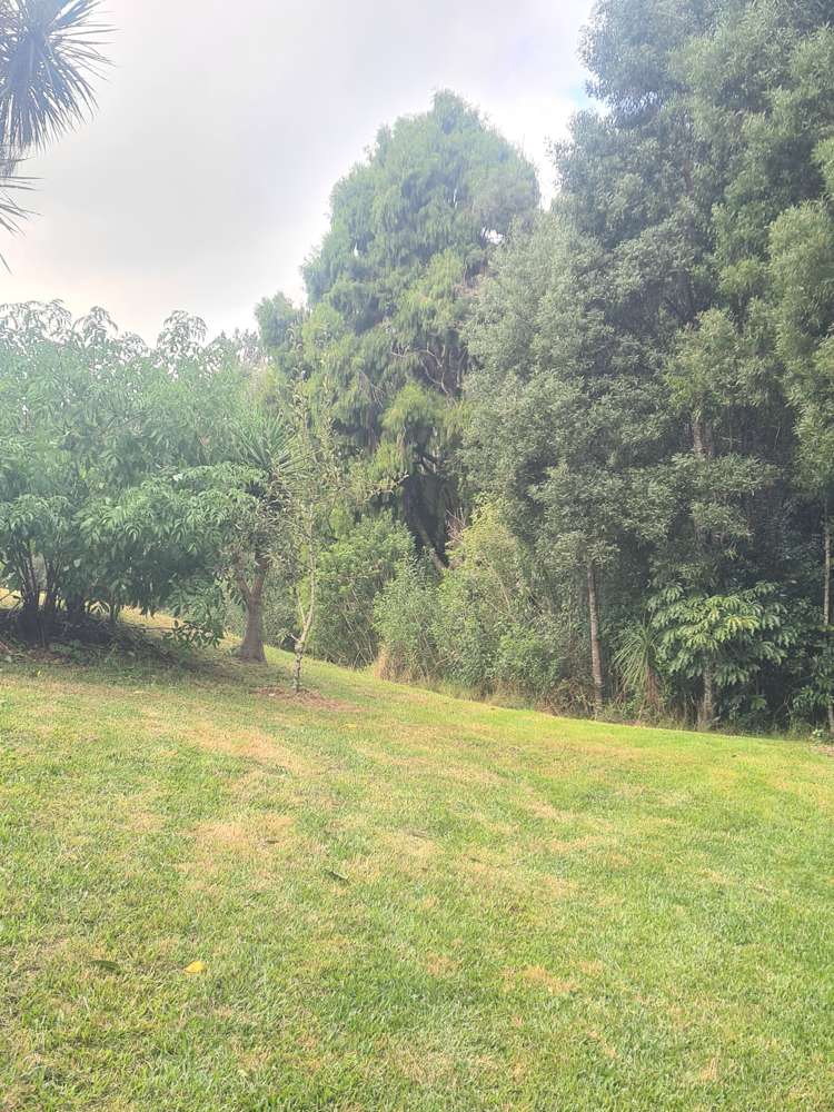 4 Mcdonnell Road Mangapai and Surrounds_25