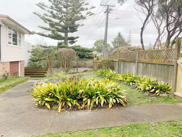 9 Maunder Place New Lynn_1