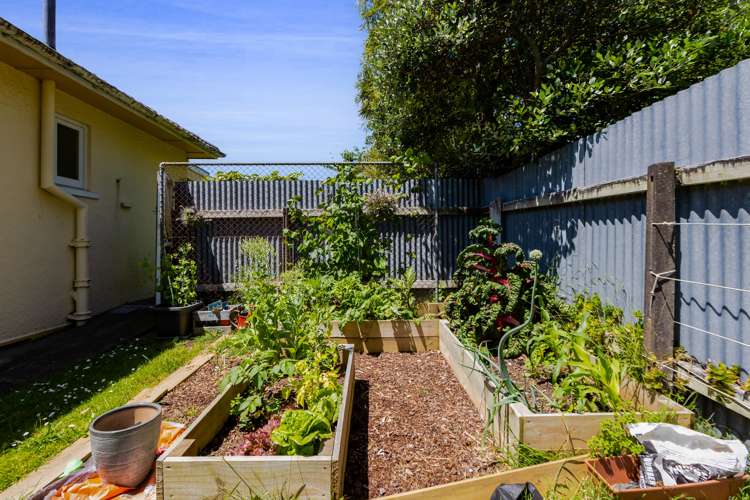 205 South Road Spotswood_22