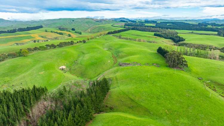 1241 Blythe Road Domett_19