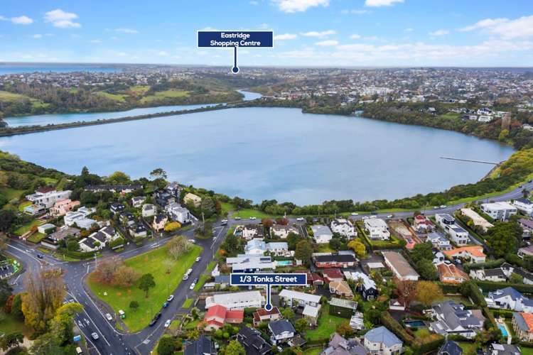 1/3 Tonks Street Remuera_15