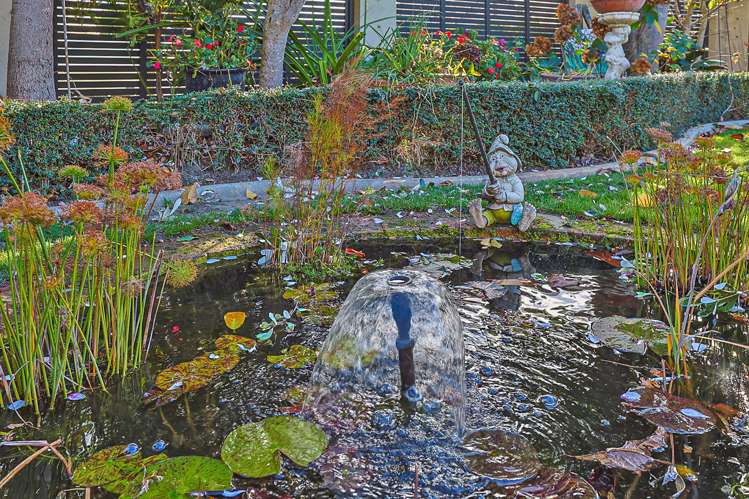 10 Park Lane Greenmeadows_24