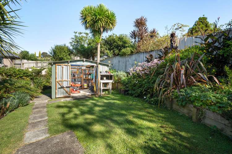 36 Gilmour Street Waihi_21